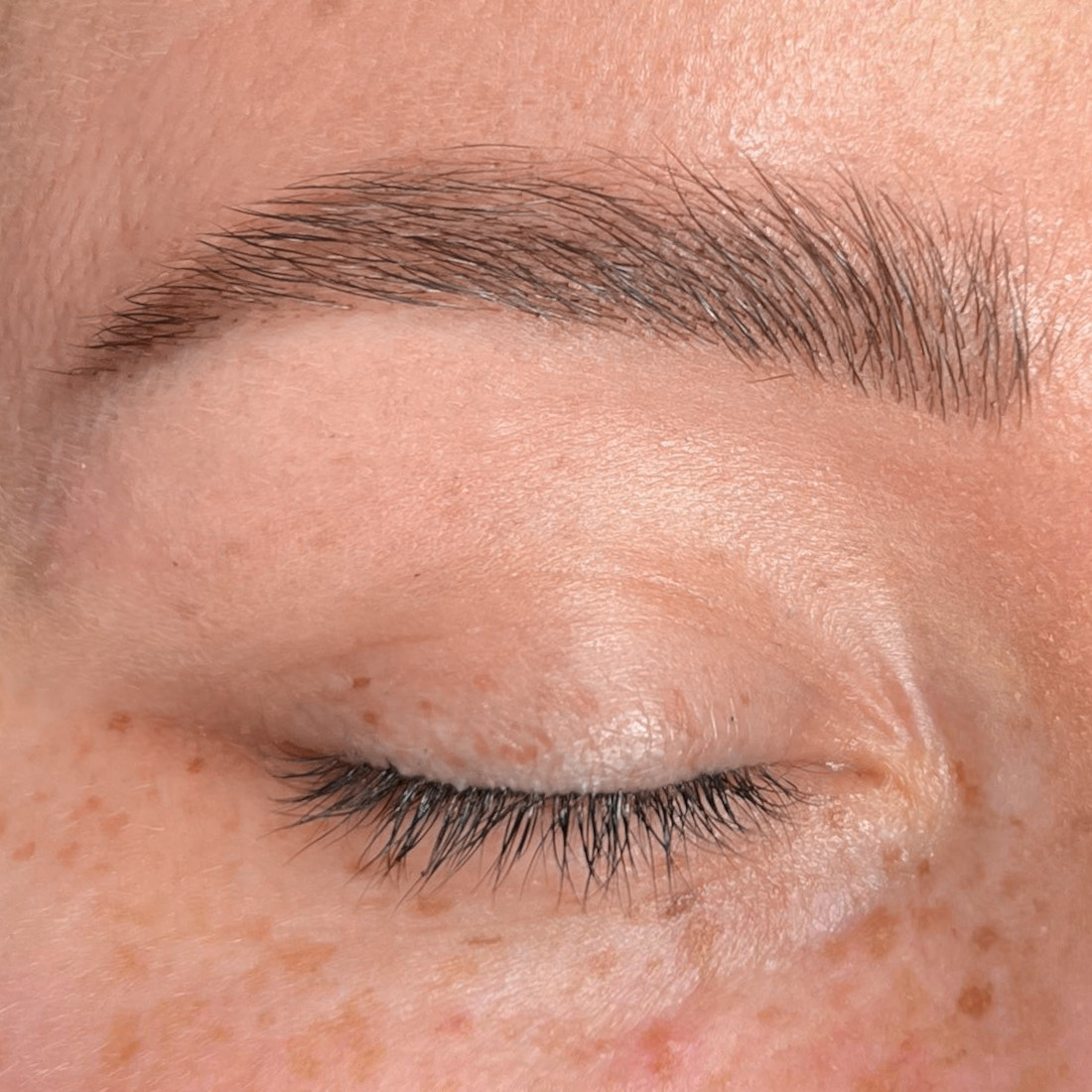 Henna Brows 3.jpg