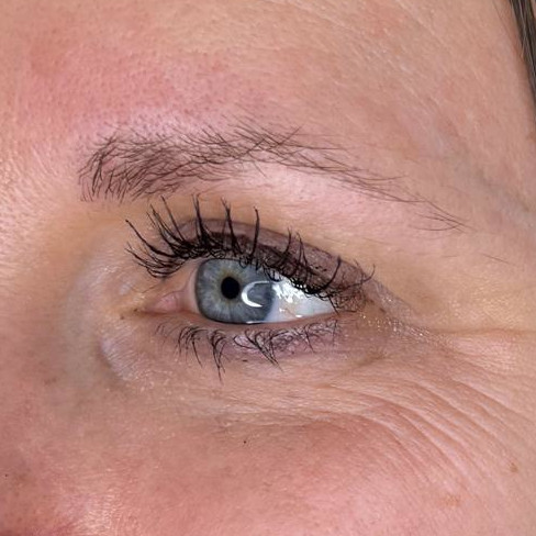 realism brows 2.jpeg